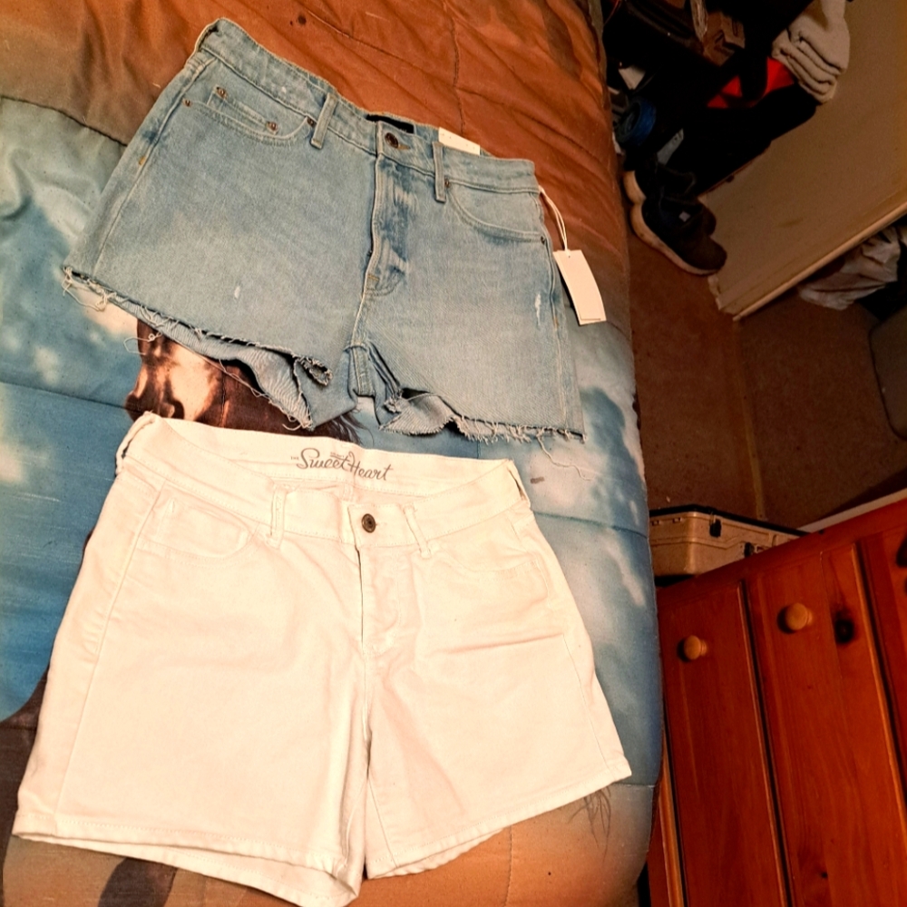 Womens size 2 shorts